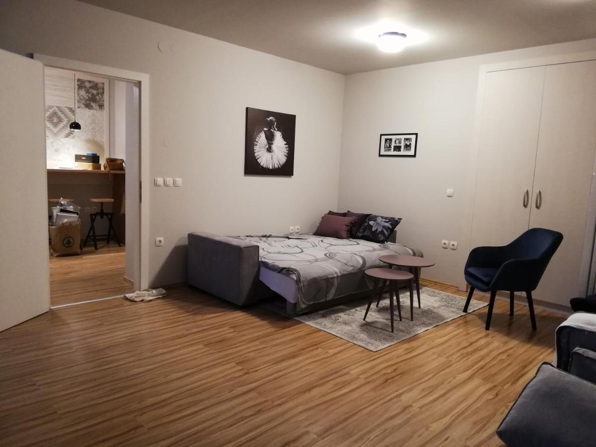 Apartment Nobl Plac Celje Eksteriør billede